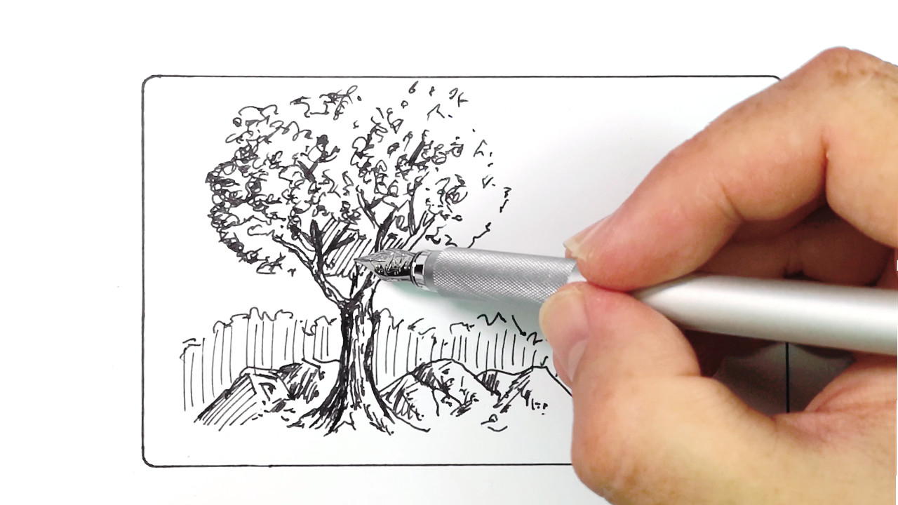 Drawing a tree in pen and ink with the Muji aluminium fountain pen