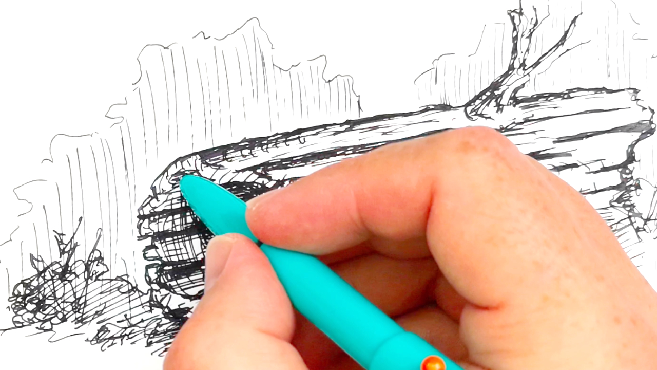 Using the Kaco Retro fountain pen to sketch a hollow log in pen and ink